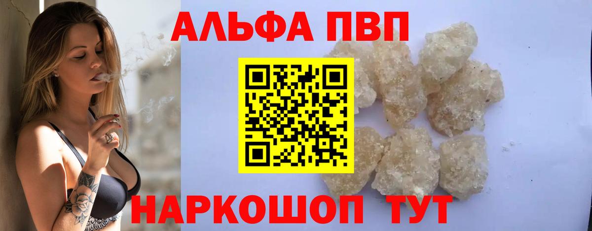 A PVP СК КРИС Петропавловск-Камчатский