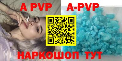 дживик Кингисепп
