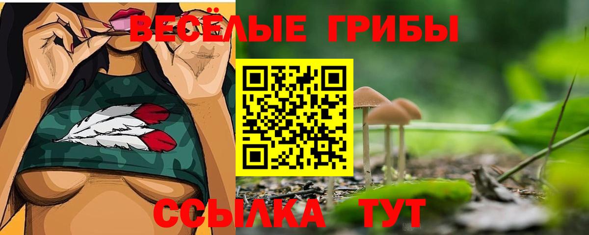 Галлюциногенные грибы GOLDEN TEACHER  Вход с VPN  Петропавловск-Камчатский 