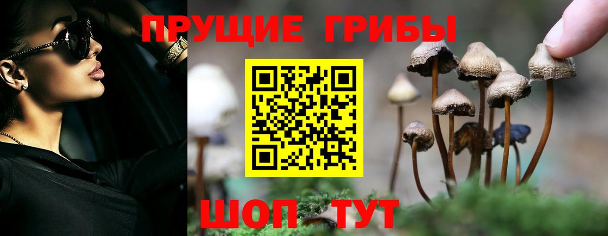 Галлюциногенные грибы GOLDEN TEACHER Петропавловск-Камчатский